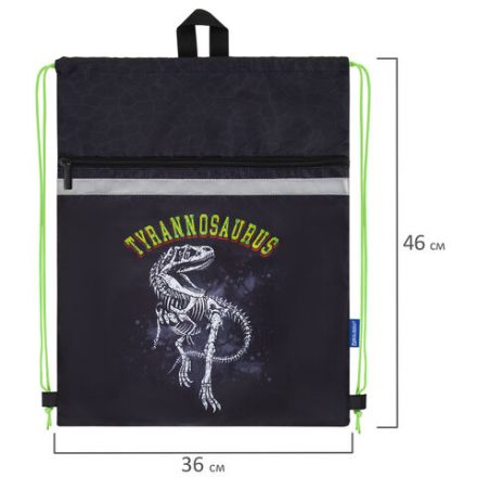 Мешок для обуви BRAUBERG, с петлей, светоотражающая полоса, 2 отделения, 46х36 см, Tyrannosaur, 272399 Мешок для обуви BRAUBERG, с петлей, светоотражающая полоса, 2 отделения, 46х36 см, Tyrannosaur, 272399