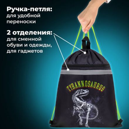 Мешок для обуви BRAUBERG, с петлей, светоотражающая полоса, 2 отделения, 46х36 см, Tyrannosaur, 272399 Мешок для обуви BRAUBERG, с петлей, светоотражающая полоса, 2 отделения, 46х36 см, Tyrannosaur, 272399