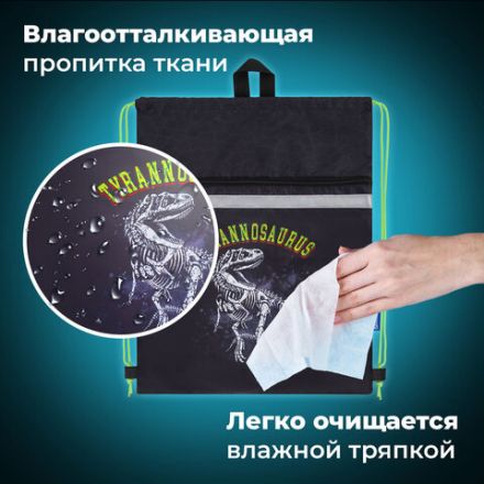 Мешок для обуви BRAUBERG, с петлей, светоотражающая полоса, 2 отделения, 46х36 см, Tyrannosaur, 272399 Мешок для обуви BRAUBERG, с петлей, светоотражающая полоса, 2 отделения, 46х36 см, Tyrannosaur, 272399
