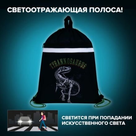 Мешок для обуви BRAUBERG, с петлей, светоотражающая полоса, 2 отделения, 46х36 см, Tyrannosaur, 272399 Мешок для обуви BRAUBERG, с петлей, светоотражающая полоса, 2 отделения, 46х36 см, Tyrannosaur, 272399