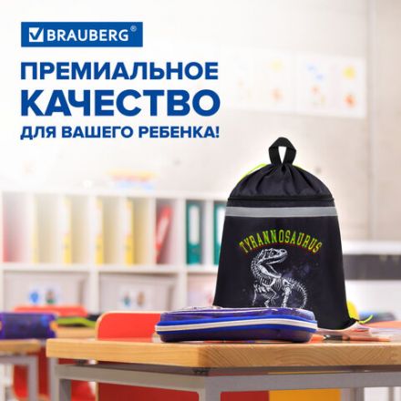 Мешок для обуви BRAUBERG, с петлей, светоотражающая полоса, 2 отделения, 46х36 см, Tyrannosaur, 272399 Мешок для обуви BRAUBERG, с петлей, светоотражающая полоса, 2 отделения, 46х36 см, Tyrannosaur, 272399