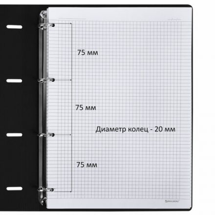 Тетрадь на кольцах БОЛЬШАЯ А4 (240х310 мм), 120 л., под кожу, BRAUBERG VISTA, "Туман", 404515 Тетрадь на кольцах БОЛЬШАЯ А4 (240х310 мм), 120 л., под кожу, BRAUBERG VISTA, "Туман", 404515