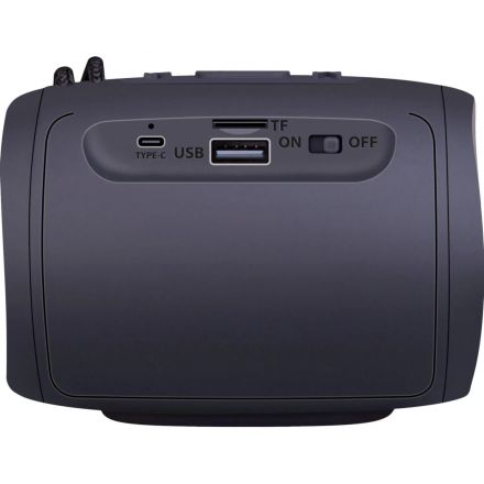 Акустическая система Defender Enjoy S200 5Вт,Light/BT/FM/USB/TF/1200мАч