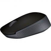 Мышь компьютерная Logitech USB OPTICAL WRL M171 BLACK Мышь компьютерная Logitech USB OPTICAL WRL M171 BLACK