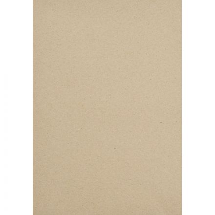 Картон белый Выбор есть Отличник 20л А4 немелован.пакет