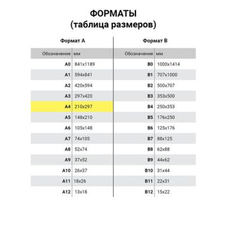 Журнал учета проверок юр.лиц и ИП, 96 л., бумвинил, блок офсет, фольга, А4 200х290 мм, BRAUBERG, 130235 Журнал учета проверок юр.лиц и ИП, 96 л., бумвинил, блок офсет, фольга, А4 200х290 мм, BRAUBERG, 130235