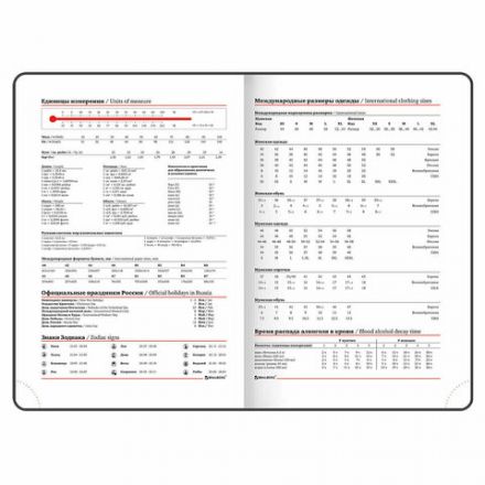 Ежедневник недатированный А5 (138х213 мм), BRAUBERG VISTA, под кожу, гибкий, 136 л., "Sky boat", 112042 Ежедневник недатированный А5 (138х213 мм), BRAUBERG VISTA, под кожу, гибкий, 136 л., "Sky boat", 112042