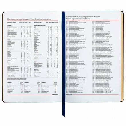 Ежедневник недатированный А5 (138х213 мм), BRAUBERG VISTA, под кожу, гибкий, 136 л., "Sky boat", 112042 Ежедневник недатированный А5 (138х213 мм), BRAUBERG VISTA, под кожу, гибкий, 136 л., "Sky boat", 112042