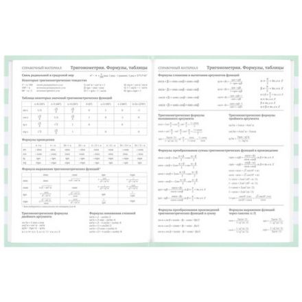 Дневник 1-11 класс 48 л., твердый, BRAUBERG, блестки, с подсказом, "Котик", 106606