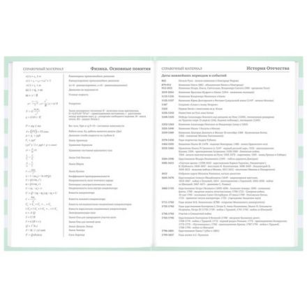 Дневник 1-11 класс 48 л., твердый, BRAUBERG, блестки, с подсказом, "Котик", 106606