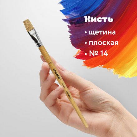 Кисть ПИФАГОР, ЩЕТИНА, плоская, № 14, деревянная лакированная ручка, пакет с подвесом, 200876 Кисть ПИФАГОР, ЩЕТИНА, плоская, № 14, деревянная лакированная ручка, пакет с подвесом, 200876