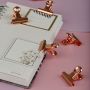Зажимы-бульдоги для бумаг 25мм, MESHU "Rose Gold", 6шт., бокс с европодвесом Зажимы-бульдоги для бумаг 25мм, MESHU "Rose Gold", 6шт., бокс с европодвесом