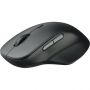 Мышь компьютерная RAPOO (M50PLUS-BL) беспроводная черная