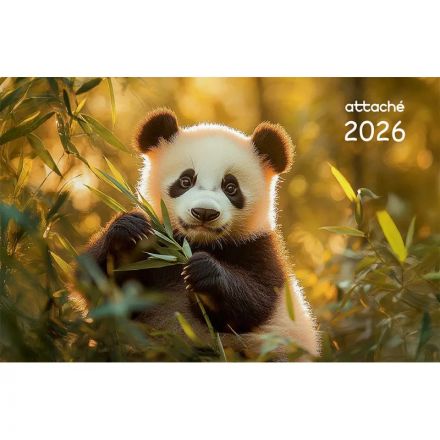 Календарь настенный 3-х блочный 2026 Трио Стандарт, 305х675, Панда, 80г/м2