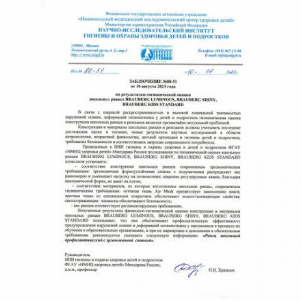 Ранец BRAUBERG KIDS STANDARD, 2 отделения, Terrible fighters, 36х28х14 см, 273146