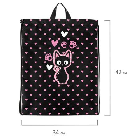 Мешок для обуви BRAUBERG KIDS, с петлей, 42х34 см, "Amazed cat", 271629 Мешок для обуви BRAUBERG KIDS, с петлей, 42х34 см, "Amazed cat", 271629