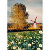 Пазл 500 эл. ТРИ СОВЫ "Поэзия полей" Пазл 500 эл. ТРИ СОВЫ "Поэзия полей"