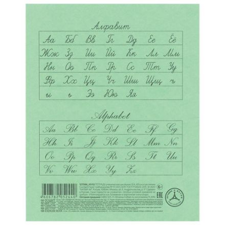 Тетрадь ЗЕЛЁНАЯ обложка 12 л., косая линия с полями, офсет, "HATBER", 013946, 12Т5B6_05112