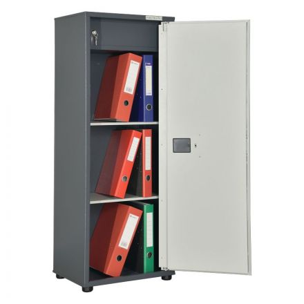 Шкаф мебельный ШМ-120ТМ2Э Шкаф мебельный ШМ-120ТМ2Э