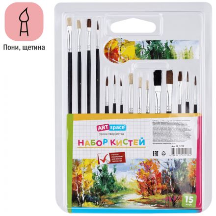 Набор кистей ArtSpace 15шт., пони, щетина, плоские, круглые, блистер Набор кистей ArtSpace 15шт., пони, щетина, плоские, круглые, блистер