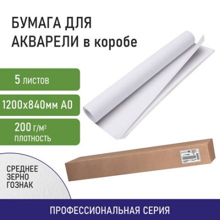 Бумага для акварели А0 (1200х840 мм), 5 листов, среднее зерно, 200 г/м2, ГОЗНАК, BRAUBERG ART CLASSIC, 114487 Бумага для акварели А0 (1200х840 мм), 5 листов, среднее зерно, 200 г/м2, ГОЗНАК, BRAUBERG ART CLASSIC, 114487