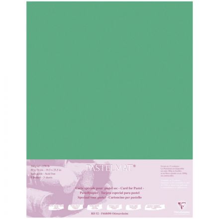 Бумага для пастели, 5л., 500*700мм Clairefontaine "Pastelmat", 360г/м2, бархат, темно-зеленый