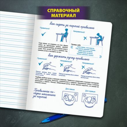 Тетрадь ПРОПИСЬ № 5 12 л. узкая линия, со справочным материалом, обложка картон, ЮНЛАНДИЯ, 404850
