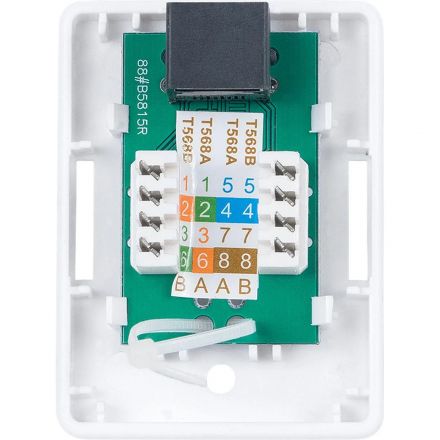 Розетка Cabeus (WS-8P8C-CAT.5E-1) комп.Dual IDC кат.5E UTP бел Розетка Cabeus (WS-8P8C-CAT.5E-1) комп.Dual IDC кат.5E UTP бел