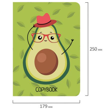 Тетради 60 л. в линию обложка SoftTouch, НАБОР 2 шт., бежевая бумага 70 г/м2, сшивка, B5 (179х250 мм), КОНТРАСТ, BRAUBERG, 403826 Тетради 60 л. в линию обложка SoftTouch, НАБОР 2 шт., бежевая бумага 70 г/м2, сшивка, B5 (179х250 мм), КОНТРАСТ, BRAUBERG, 403826