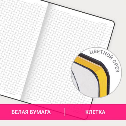 Блокнот А5 (143x210 мм), BRAUBERG VISTA "Fashion Style", под кожу, гибкий, 80 л., 112067 Блокнот А5 (143x210 мм), BRAUBERG VISTA "Fashion Style", под кожу, гибкий, 80 л., 112067