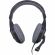 Гарнитура RITMIX RH-534M Gray Компьютерная 3,5 мм TRS (15119392)