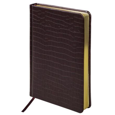 Ручка шариковая PARKER "Jotter Core Stainless Steel GT", ежедневник А5 коричневый, пакет, 880890