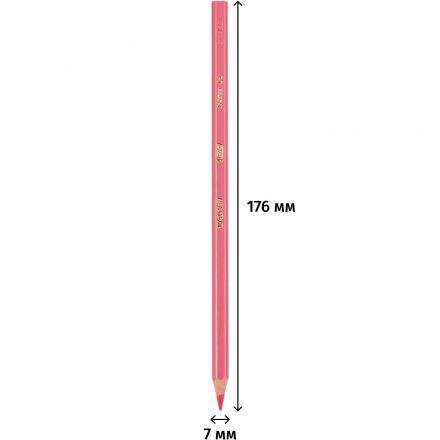 Карандаши цветные 12цв 6-гран BIC Evolution 829029