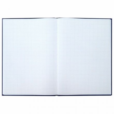 Книга учета 96 л., клетка, твердая, бумвинил, офсет, наклейка, А4 (200х290 мм), BRAUBERG, синяя, 130140 Книга учета 96 л., клетка, твердая, бумвинил, офсет, наклейка, А4 (200х290 мм), BRAUBERG, синяя, 130140