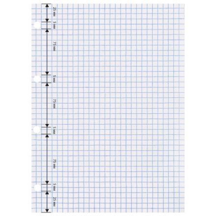 Сменный блок для тетради на кольцах БОЛЬШОЙ А4, 80 л., BRAUBERG, "Белый", 403262 Сменный блок для тетради на кольцах БОЛЬШОЙ А4, 80 л., BRAUBERG, "Белый", 403262