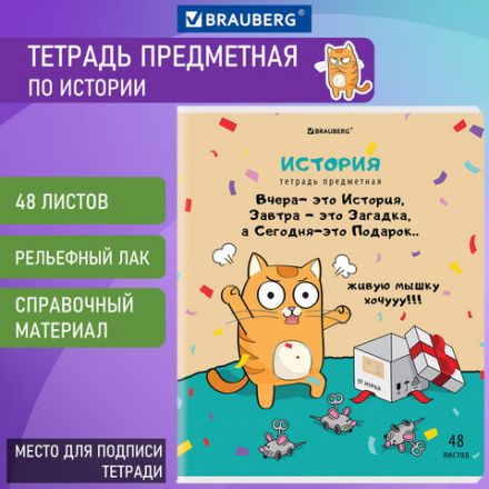 Тетрадь предметная "КОТ-ЭНТУЗИАСТ" 48 л., TWIN-лак, ИСТОРИЯ, клетка, подсказ, BRAUBERG, 404563