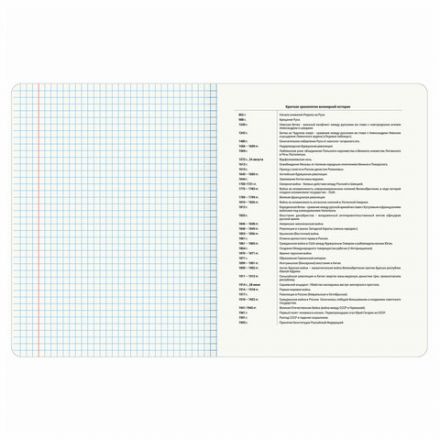 Тетрадь предметная "КОТ-ЭНТУЗИАСТ" 48 л., TWIN-лак, ИСТОРИЯ, клетка, подсказ, BRAUBERG, 404563