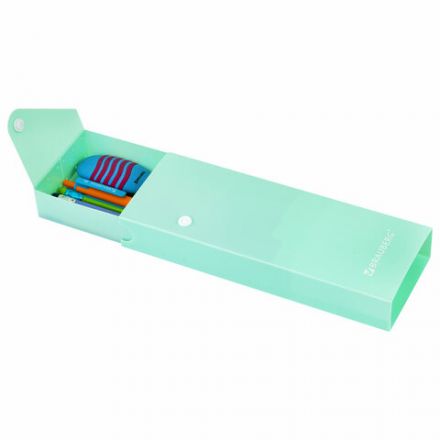 Пенал пластиковый BRAUBERG, 1 отделение, на кнопке, 20x7 см, ассорти, "Pastel", 273770 Пенал пластиковый BRAUBERG, 1 отделение, на кнопке, 20x7 см, ассорти, "Pastel", 273770