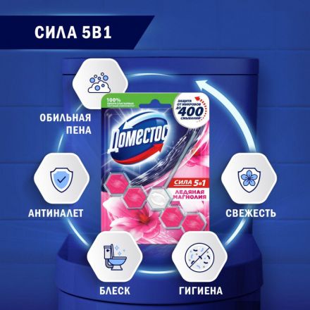 Блок для унитаза Domestos POWER 5 Ледяная магнолия 55гр на блистере
