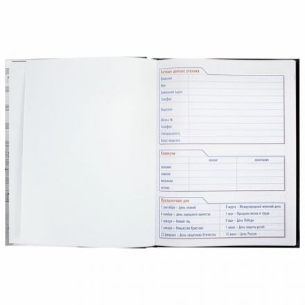 Дневник для музыкальной школы твердый, ламинированная обложка, с подсказом, HATBER "Клавиши", 039820, 48ДТмз5В_14210