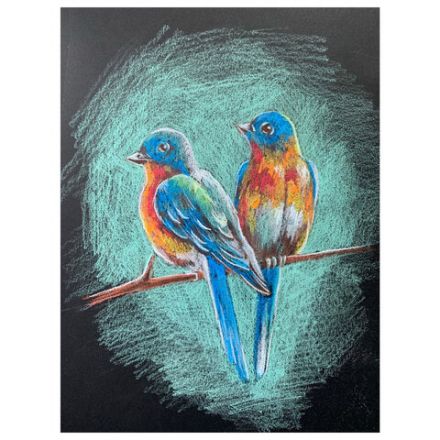 Альбом для пастели, картон ЧЕРНЫЙ+ОЛИВКОВЫЙ 630 г/м2, 297x414 мм, 5+5 листов, BRAUBERG ART, 105924 Альбом для пастели, картон ЧЕРНЫЙ+ОЛИВКОВЫЙ 630 г/м2, 297x414 мм, 5+5 листов, BRAUBERG ART, 105924