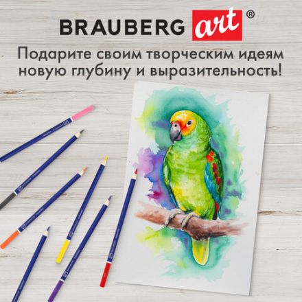 Карандаши художественные цветные акварельные BRAUBERG ART CLASSIC, 12 цветов, грифель 3,3 мм, 181529