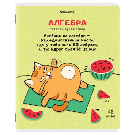 Тетради предметные, КОМПЛЕКТ 12 ПРЕДМЕТОВ, 48 л., TWIN-лак, BRAUBERG, "КОТ-ЭНТУЗИАСТ", 404609