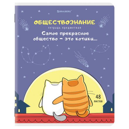 Тетради предметные, КОМПЛЕКТ 12 ПРЕДМЕТОВ, 48 л., TWIN-лак, BRAUBERG, "КОТ-ЭНТУЗИАСТ", 404609 Тетради предметные, КОМПЛЕКТ 12 ПРЕДМЕТОВ, 48 л., TWIN-лак, BRAUBERG, "КОТ-ЭНТУЗИАСТ", 404609