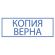 Штамп стандартный "КОПИЯ ВЕРНА" В РАМКЕ, оттиск 38х14 мм, синий, TRODAT IDEAL 4911 DB-3.45, 161491