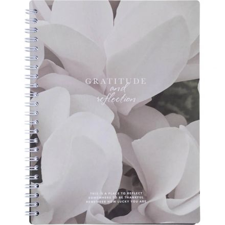 Бизнес-тетрадь, BS, А5, 80л., точка, спираль. Botanica, цикламен N4191