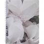 Бизнес-тетрадь, BS, А5, 80л., точка, спираль. Botanica, цикламен N4191