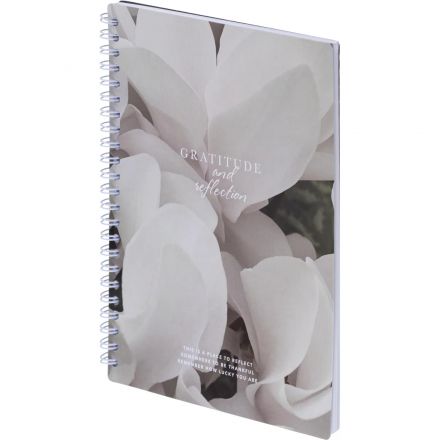 Бизнес-тетрадь, BS, А5, 80л., точка, спираль. Botanica, цикламен N4191
