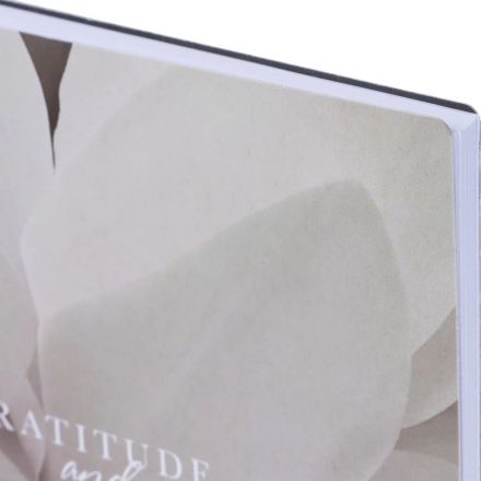 Бизнес-тетрадь, BS, А5, 80л., точка, спираль. Botanica, цикламен N4191