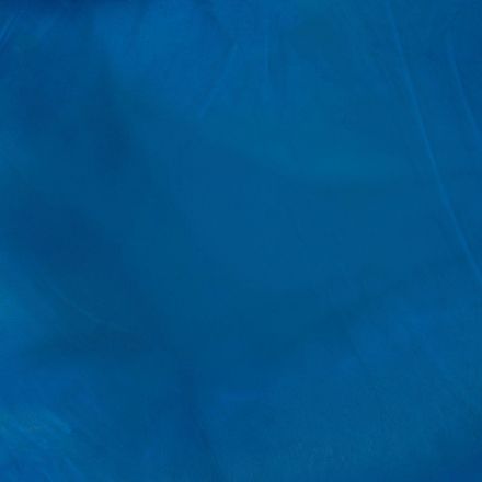 Перчатки одноразовые нитрил Manipula Эксперт (DG-022), р-р S, 100шт/уп, ПС Перчатки одноразовые нитрил Manipula Эксперт (DG-022), р-р S, 100шт/уп, ПС